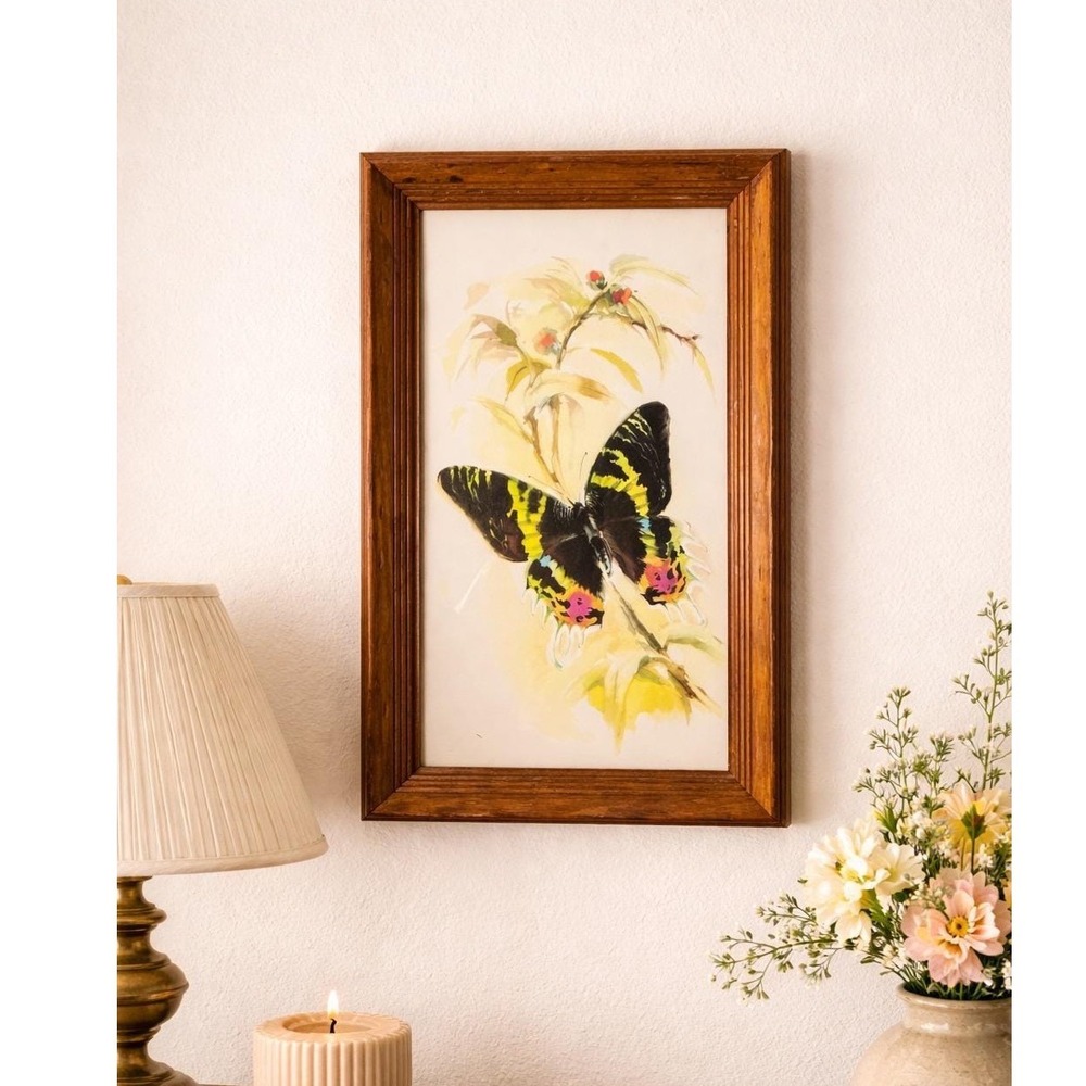 B Ballestar German Signed Watercolor Print Butterfly Sunset Moth Floral Framed